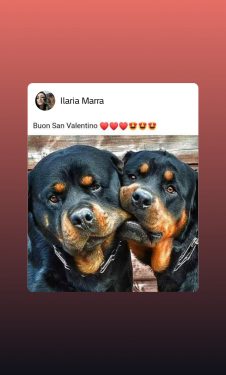 Sono una donna cerco lavoro o esperienza