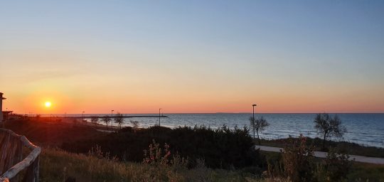 badante automunita per compagnia