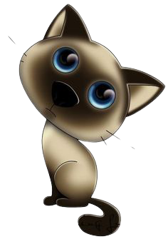 Badante convivente H24