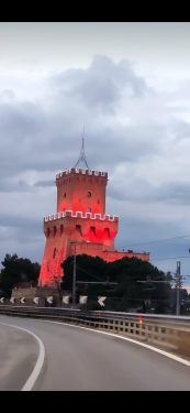 Cerco assistente familiare h24 per anziana e bambini, amante animali