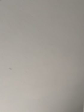 Ricerca badante Frascati da Venerdì a Domenica