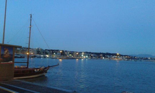 Cerco badante convivente a Nettuno