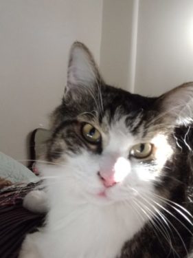 Badante part time Modica