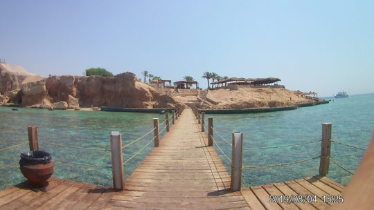 cerco badante per anziana non autosufficiente