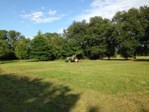 Famiglia di Tolosa -Francia cerca badante convivente