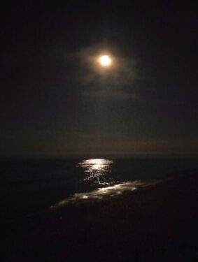 Cerco badante h24 per mia madre pensionata